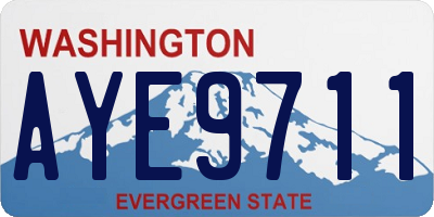 WA license plate AYE9711