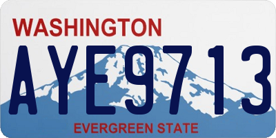 WA license plate AYE9713