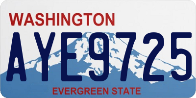WA license plate AYE9725