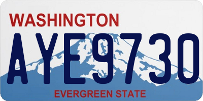 WA license plate AYE9730