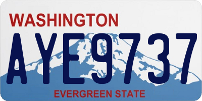 WA license plate AYE9737