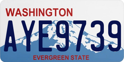 WA license plate AYE9739