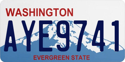 WA license plate AYE9741