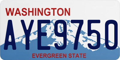 WA license plate AYE9750
