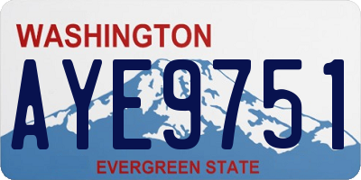 WA license plate AYE9751