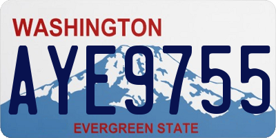 WA license plate AYE9755