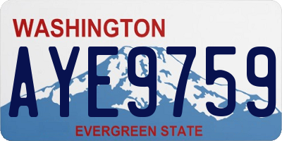 WA license plate AYE9759