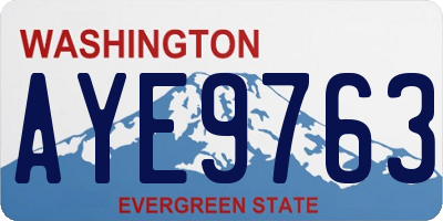 WA license plate AYE9763
