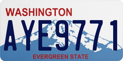 WA license plate AYE9771