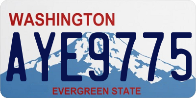WA license plate AYE9775