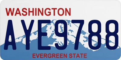 WA license plate AYE9788