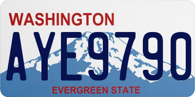 WA license plate AYE9790