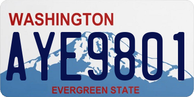 WA license plate AYE9801