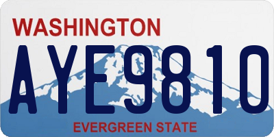 WA license plate AYE9810