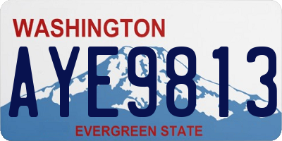 WA license plate AYE9813