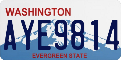 WA license plate AYE9814