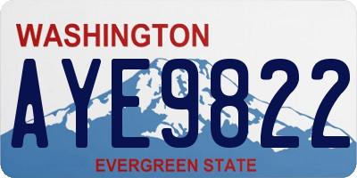 WA license plate AYE9822