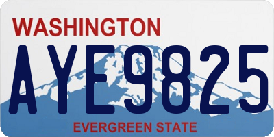 WA license plate AYE9825
