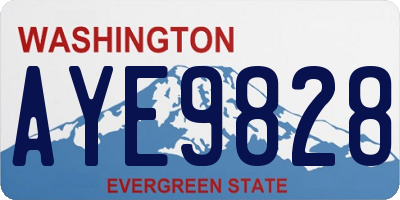 WA license plate AYE9828