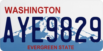 WA license plate AYE9829