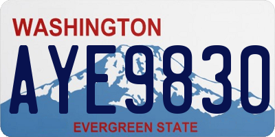 WA license plate AYE9830