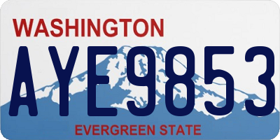 WA license plate AYE9853