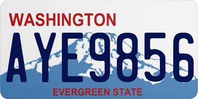 WA license plate AYE9856