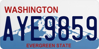 WA license plate AYE9859