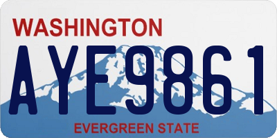 WA license plate AYE9861