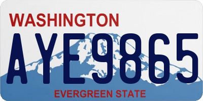 WA license plate AYE9865