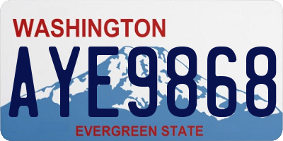 WA license plate AYE9868