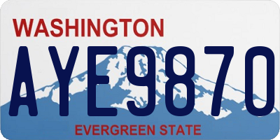 WA license plate AYE9870