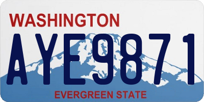 WA license plate AYE9871
