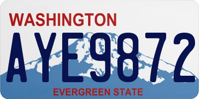 WA license plate AYE9872