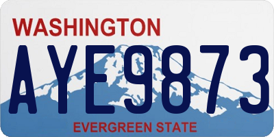 WA license plate AYE9873