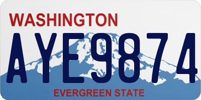 WA license plate AYE9874