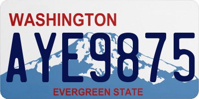 WA license plate AYE9875