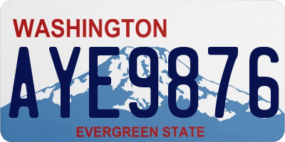WA license plate AYE9876