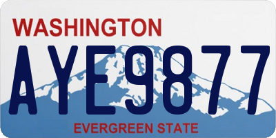 WA license plate AYE9877