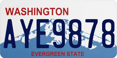 WA license plate AYE9878