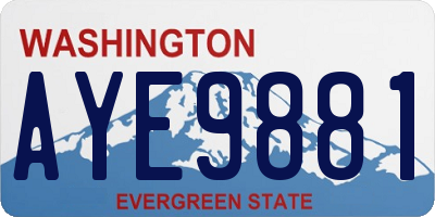 WA license plate AYE9881