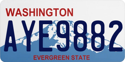 WA license plate AYE9882