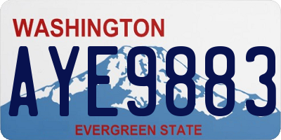 WA license plate AYE9883