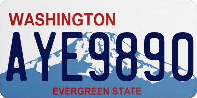 WA license plate AYE9890