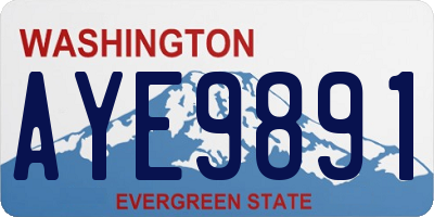 WA license plate AYE9891