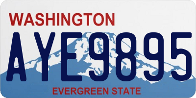 WA license plate AYE9895