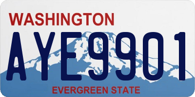 WA license plate AYE9901