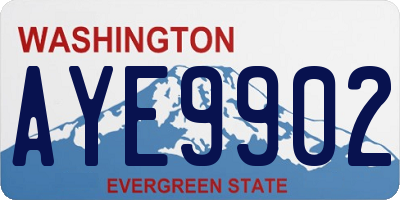 WA license plate AYE9902