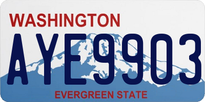 WA license plate AYE9903