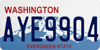 WA license plate AYE9904